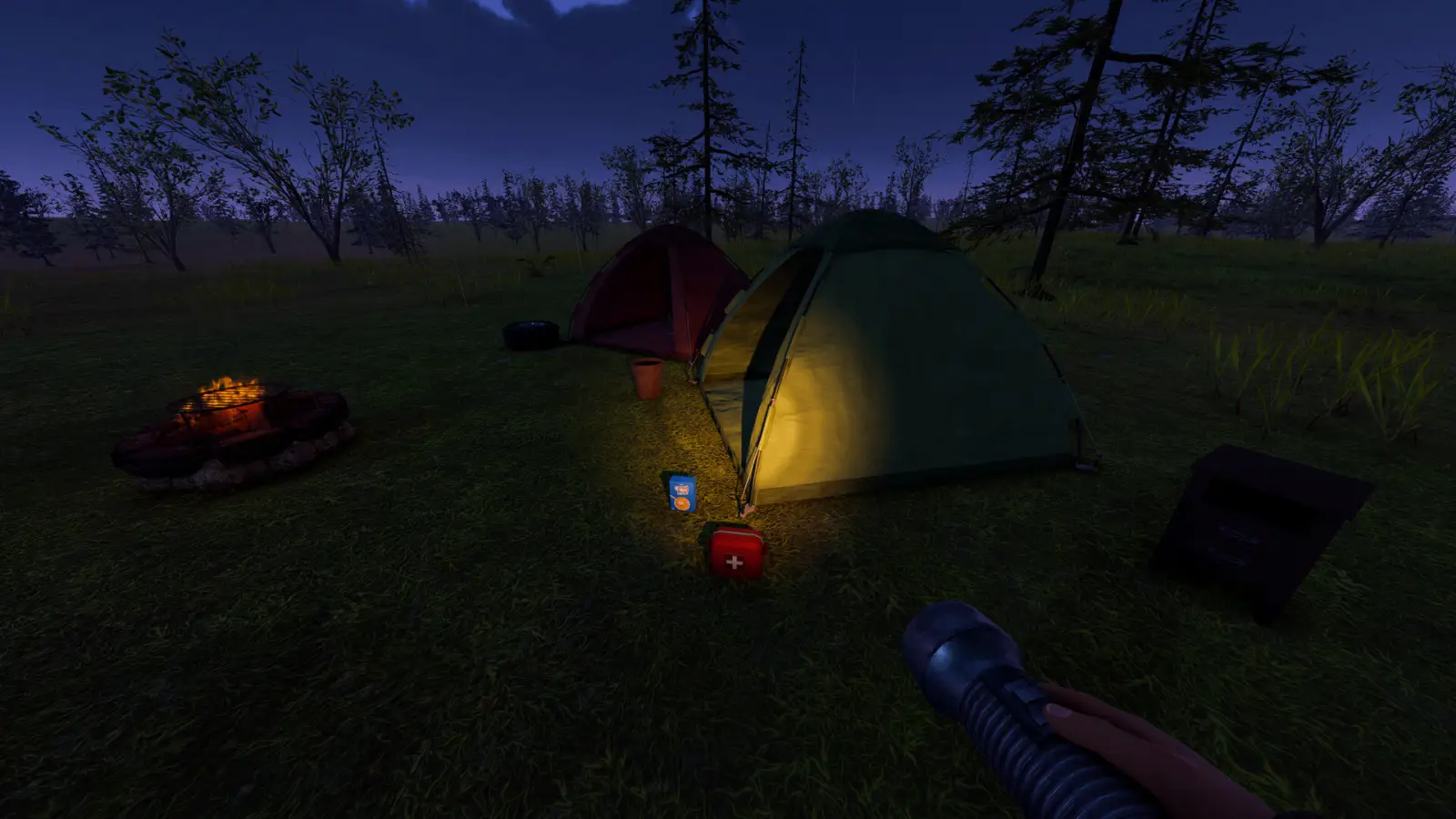 Night camp with a tent, fire and flashlight in Nomad Drive